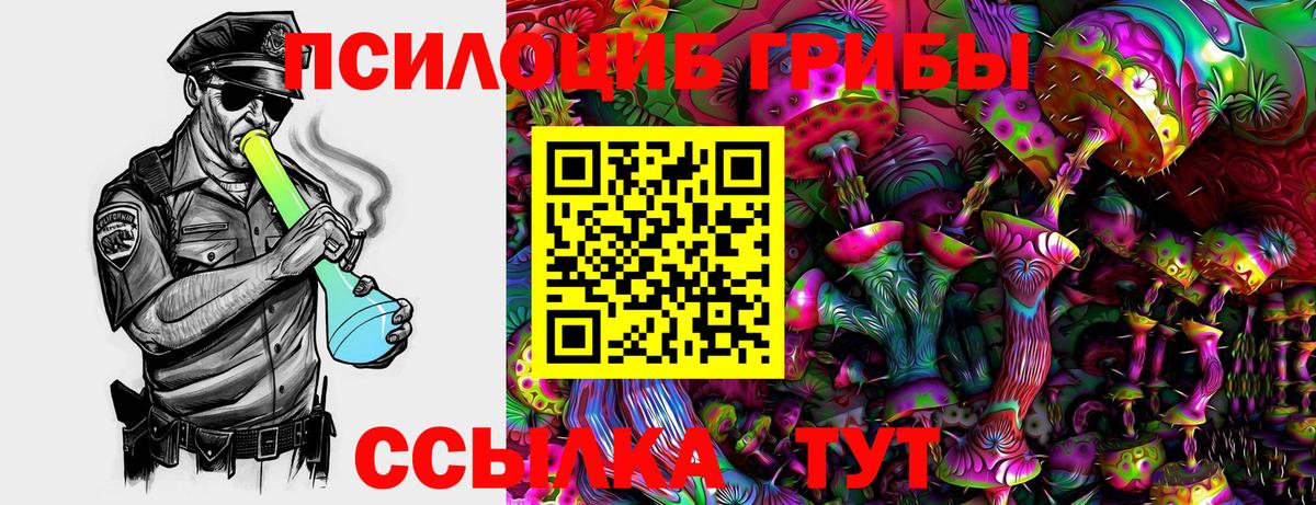 Псилоцибиновые грибы Magic Shrooms Ижевск